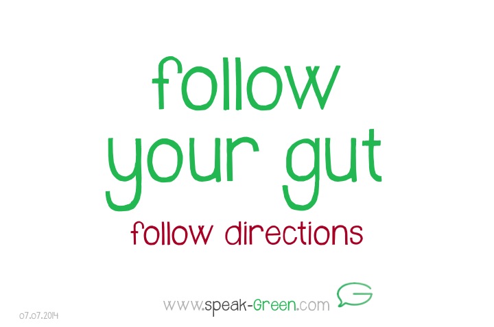 2014-07-07 - follow your gut