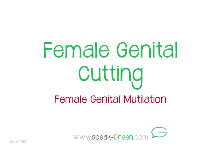 2017-02-06 - female genital cutting