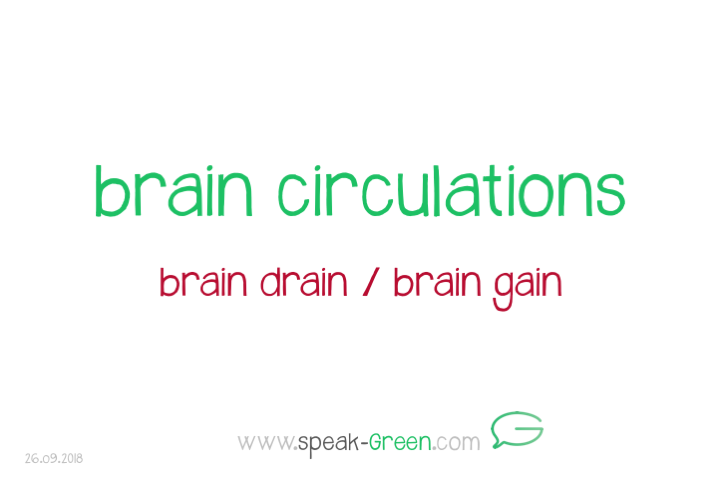 2018-09-26 - brain circulation