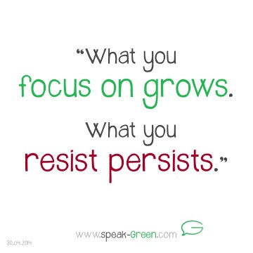 2014-04-30 - what you focus on grows