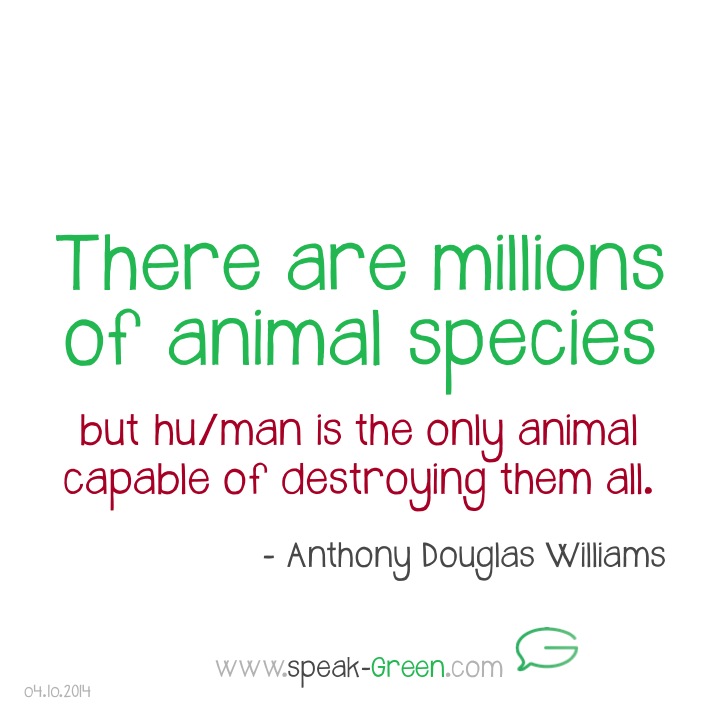 2014-10-04 - animal species