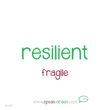 2014-11-11 - resilient