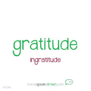 2014-12-25 - gratitude