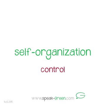 2015-02-11 - self-organization