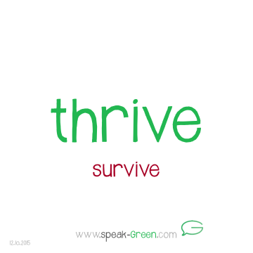 2015-10-12 - thrive