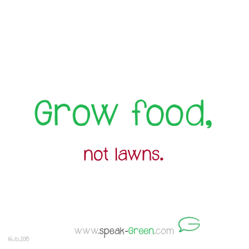 2015-10-16 - grow food