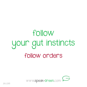 2015-11-28 - follow your gut instincts
