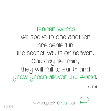 2016-01-31 - tender words