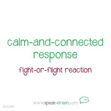 2016-02-23 - calm-and-connect response