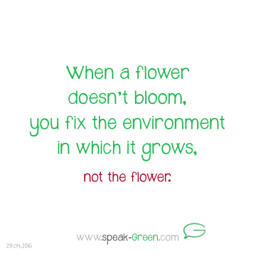 2016-04-29 - fix the environment of a flower