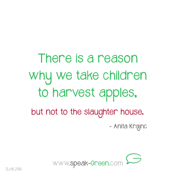 2016-08-12 - take children to harvest apples