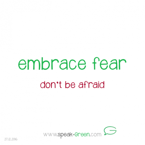 2016-12-27 - embrace fear