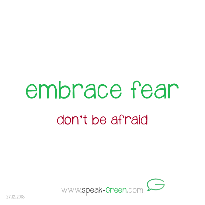 2016-12-27 - embrace fear