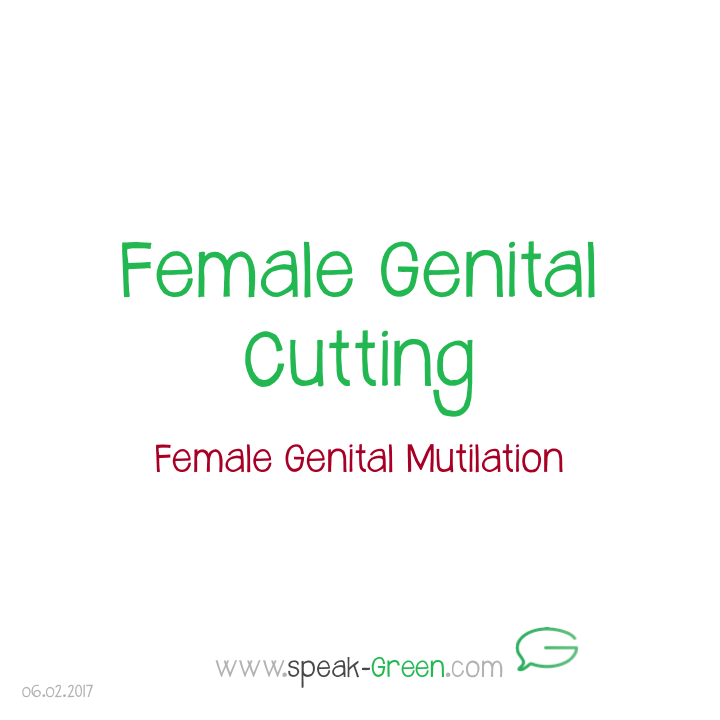 2017-02-06 - female genital cutting