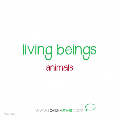 2017-03-03 - living beings